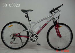 深圳市宝安南方自行车 创新工艺与卓越品质的产品展示