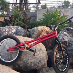 郴州北湖的自行车维修服务指南